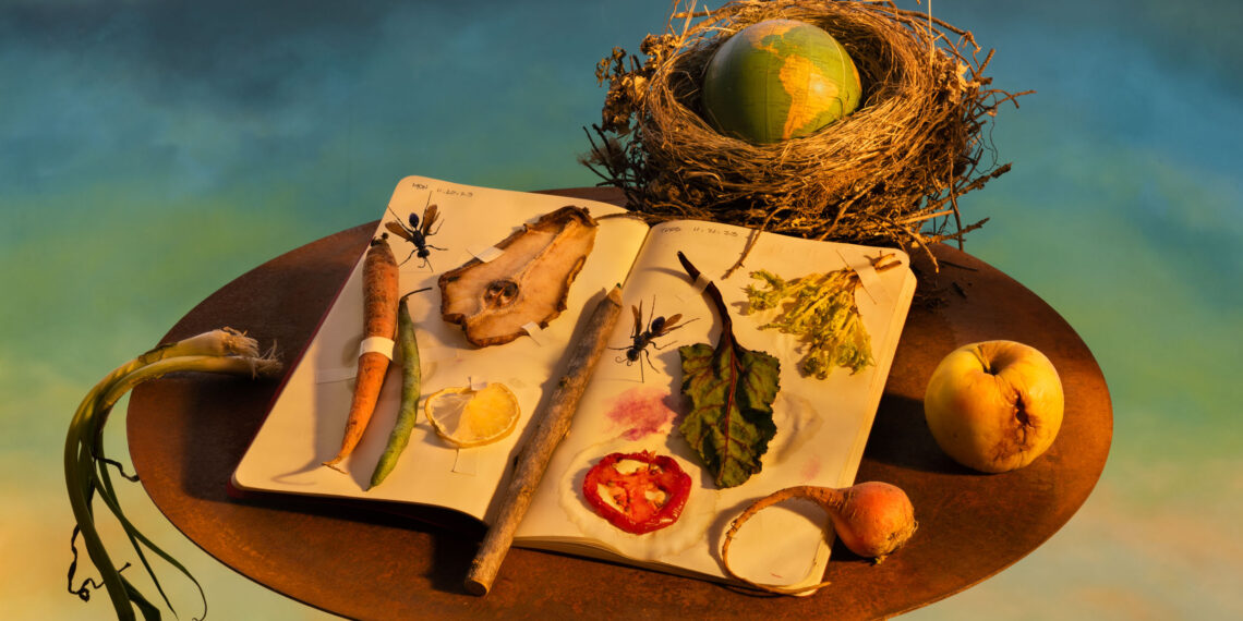 Food waste still life