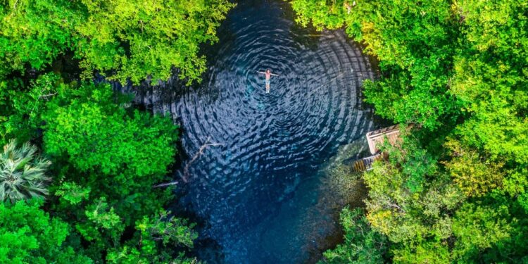 Los mil y un valores del turismo regenerativo: aportes para la sostenibilidad y la conservación en América Latina y el Caribe