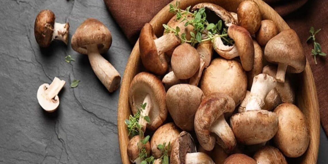 Mushroom To Strawberry, 5 Tasty Foods To Reduce Weight