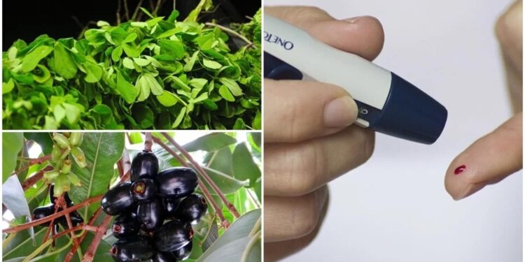 Diabetes: 18 foods that do not raise blood sugar | Health