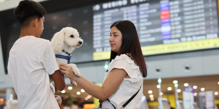 Viajes con mascotas crece colocando desafíos para aeropuertos y líneas aéreas