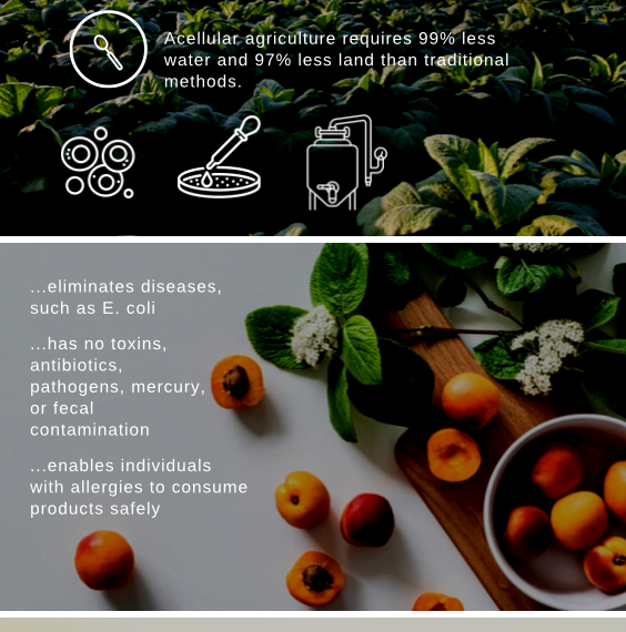 El potencial de la tecnología blockchain en el desarrollo de alimentos basados en células