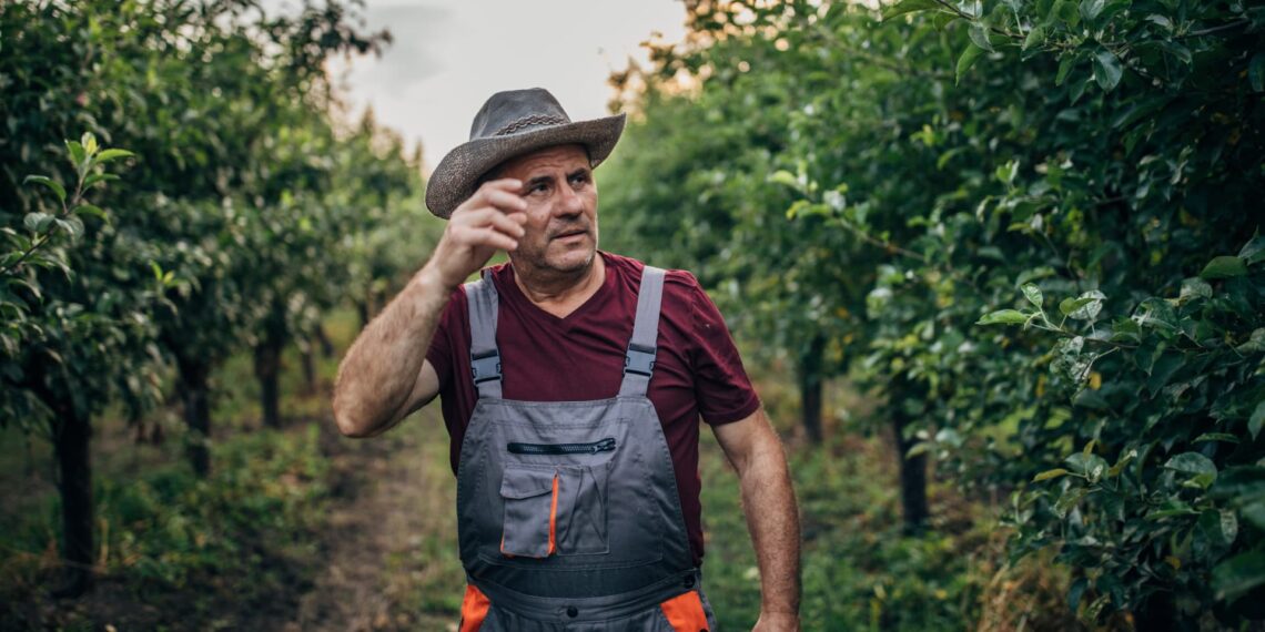 The 'holy grail' of longevity foods this doctor eats every day—it protects you 'like a suit of armor'
