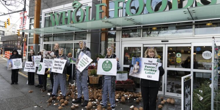 Monkey Labor Supported by Whole Foods in Vancouver?