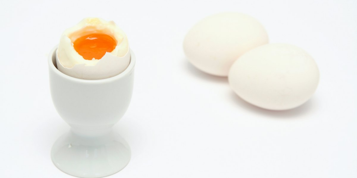 US Rembrandt Foods acquires precooked egg product company