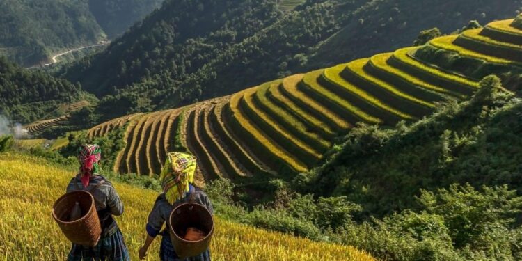 Uganda, Kenia o los Balcanes con descuentos de hasta el 50%