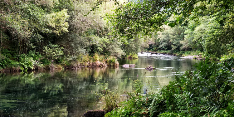 Rutas por los bosques encantados de Espaa