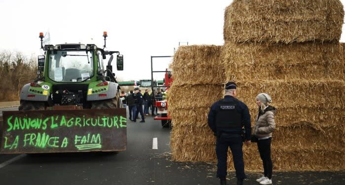 Radical food system overhaul would raise costs but deliver $10tn a year benefit, report says