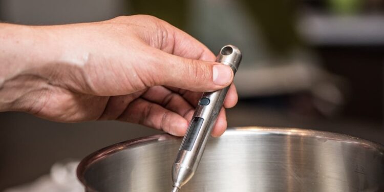 Undercooked Foods, Wiping Cloths: Restaurants In McLean Inspections