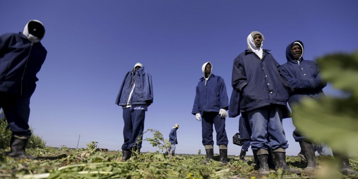 Takeaways from the AP's investigation into how US prison labor supports many popular food brands