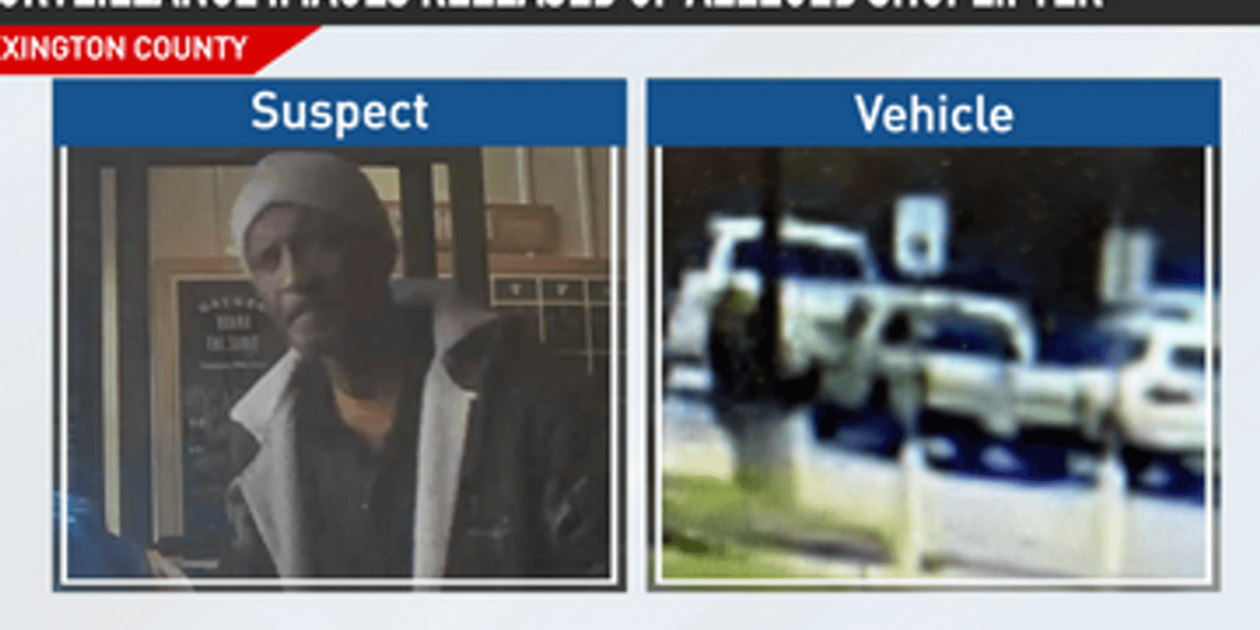 Lexington police search for alleged shoplifter at Lowes Foods on Sunset Blvd