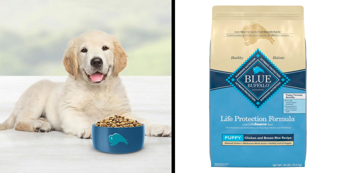10 Best Puppy Foods for 2024 | Expert Recommendations for Your New Best Friend