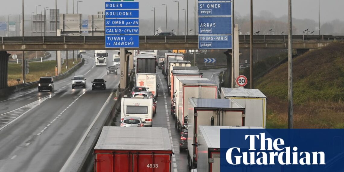 Brexit border rules could cut shelf life of fresh food from EU by a fifth, say experts | Brexit