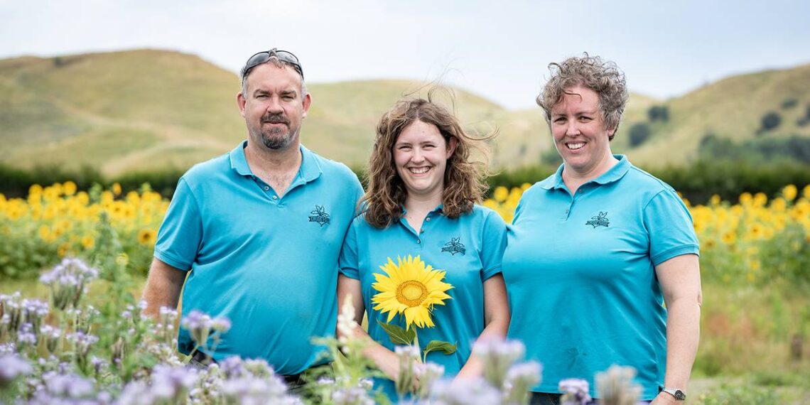 Sunflowers draw in Hawke’s Bay to Crude Food community garden