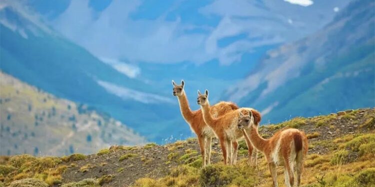 Los mejores lugares para visitar en 2024