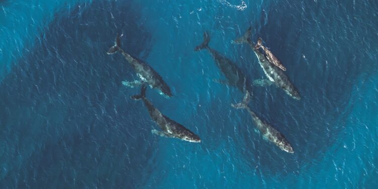 Éstos son los mejores destinos del mundo en 2024, según National Geographic