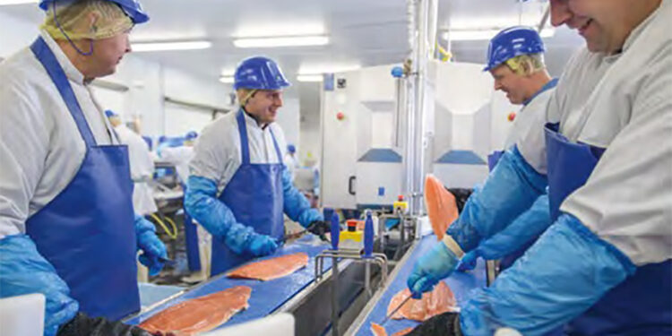 Hilton Foods reports seafood business dragged on company’s profits in 2022