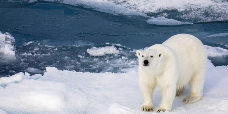 Agenttravel.ES - Noticias para el profesional del turismo