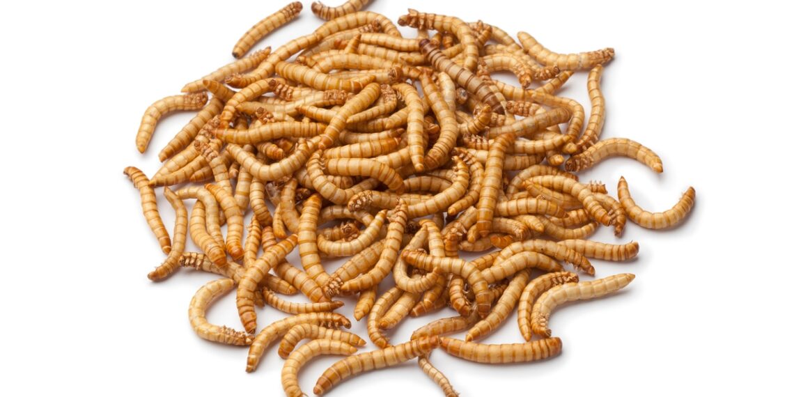 Ÿnsect approved to commercialize mealworm proteins for dog food in U.S.