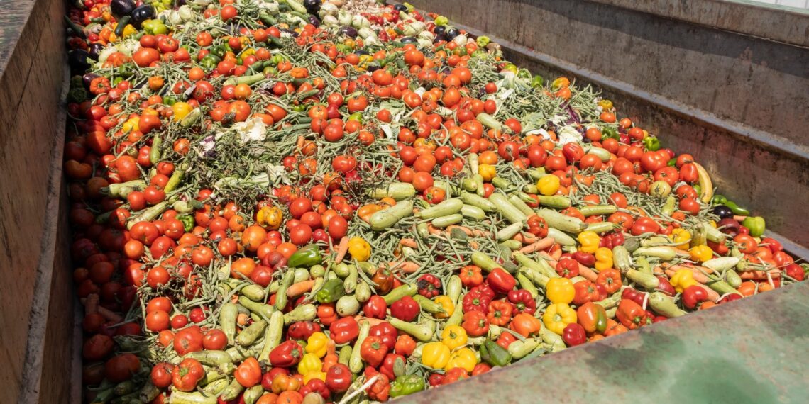 Study: Global food loss and waste estimates show increasing nutritional and environmental pressures. Image Credit: ArieStudio / Shutterstock