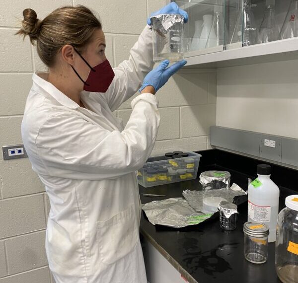 New study finds microplastics in several protein foods