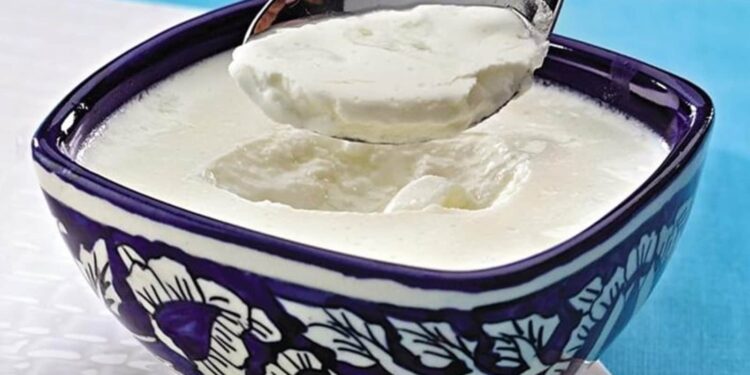 Ayurveda expert on why people with diabetes should avoid curd and white salt | Health