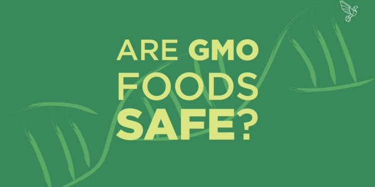Just 27% of Americans think genetically modified foods are safe to eat. It’s time to set the record straight