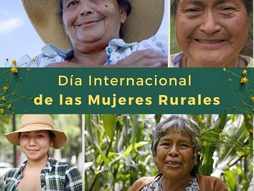 Corteva Inicia el año destacando Historias de Mujeres Inspiradoras que Transforman el Campo Mexicano