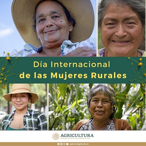 Corteva Inicia el año destacando Historias de Mujeres Inspiradoras que Transforman el Campo Mexicano