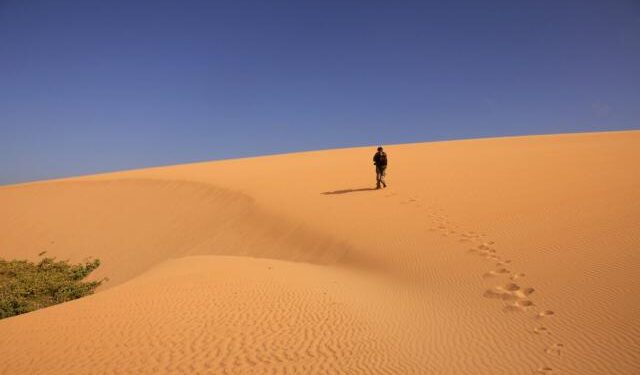 ¿A dónde viajar en el 2024? Estos son cinco grandes destinos para conocer en Colombia