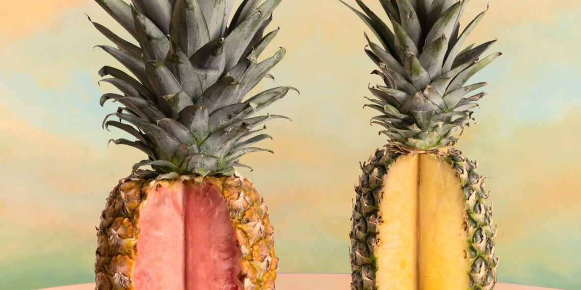 Are GMOs Safe? The Benefits of Science-Enhanced Foods