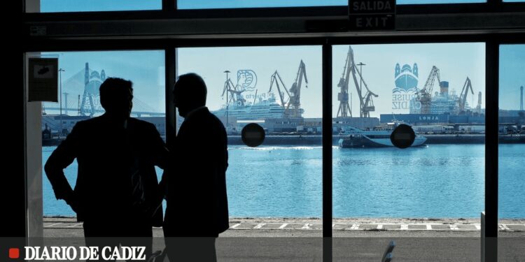 Cádiz pondrá a prueba en agosto el nuevo sistema para surtir de electricidad a los cruceros