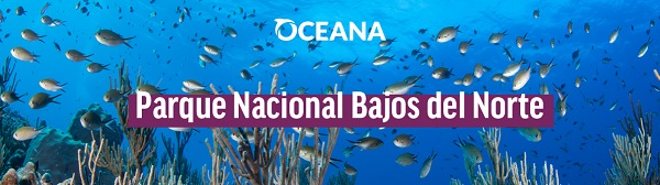 ¡Hicimos historia! Oceana logra una victoria sin precedentes.