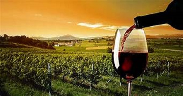 Las 7 rutas de vino mexicano que debes visitar en el 2024