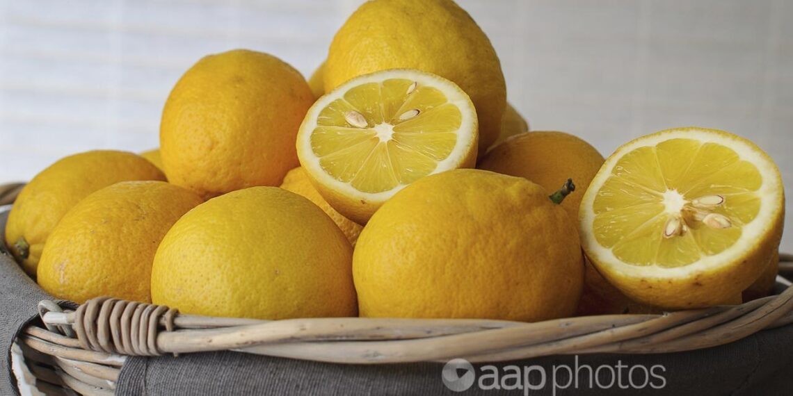 Claim high pH foods curb COVID is a lemon – Australian Associated Press