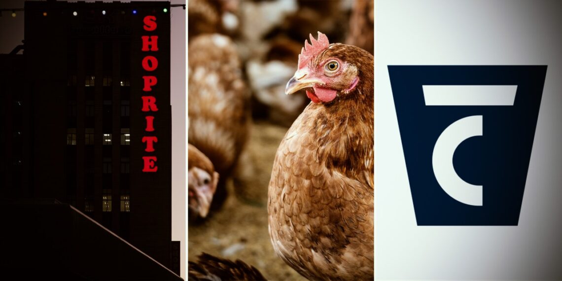 Market lowdown on Shoprite, Astral Foods, Transaction Capital