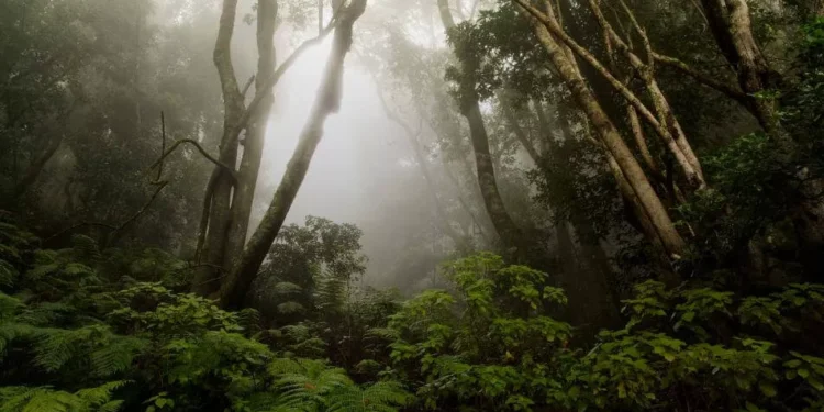 Así es la espectacular isla de Canarias finalista de los premios de Lectores de National Geographic