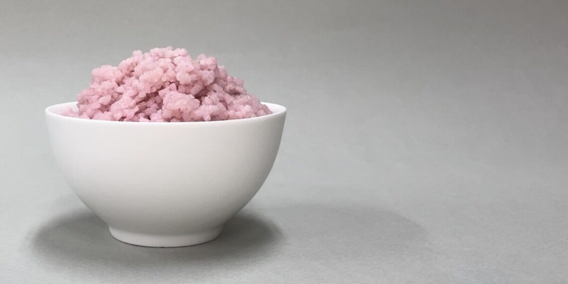Scientists grow beef cells in rice to make new protein-rich space food