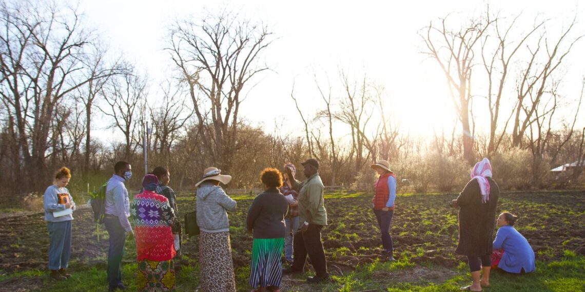 Gardening, hunting, foraging can improve food security, according to study in Vermont and Maine