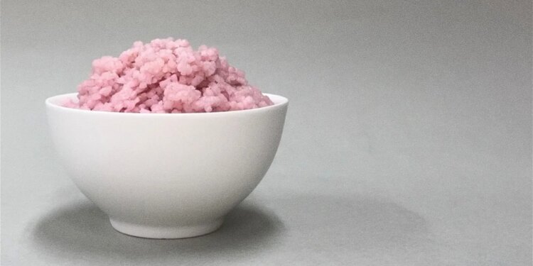 arroz y carne y ambos han sido cultivados