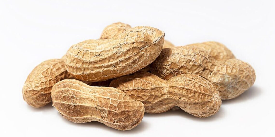 Can you get magnesium through food? Yes, here’s 19 magnesium-rich foods
