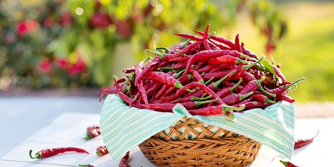 Wild or mild? Explore the fiery appeal and risks of spicy foods
