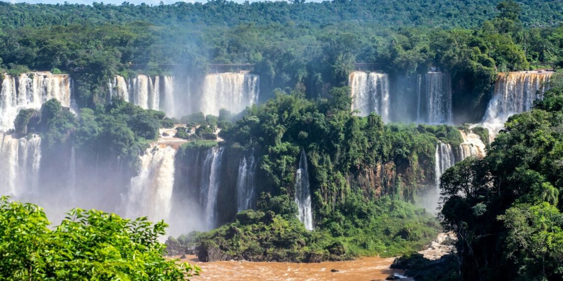 Cuáles son las selvas más espectaculares del mundo que pocos conocen