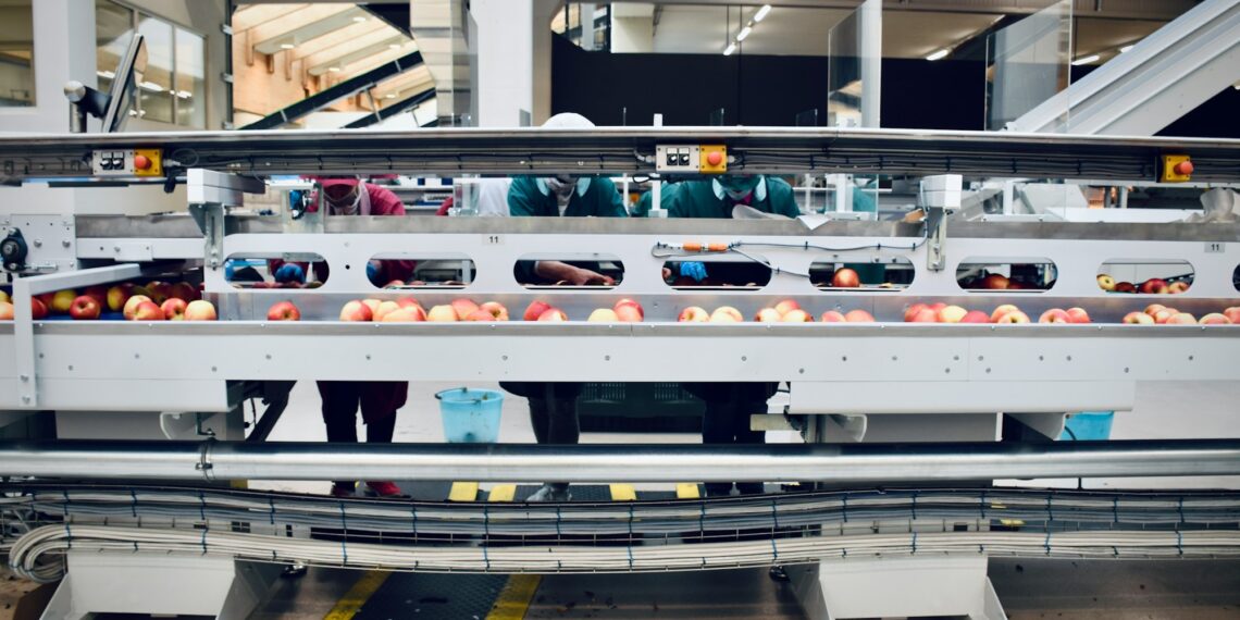 Uncovering the Secrets of the Global Food Industry