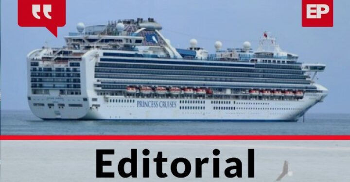 Los cruceros | ELPINGUINO.COM