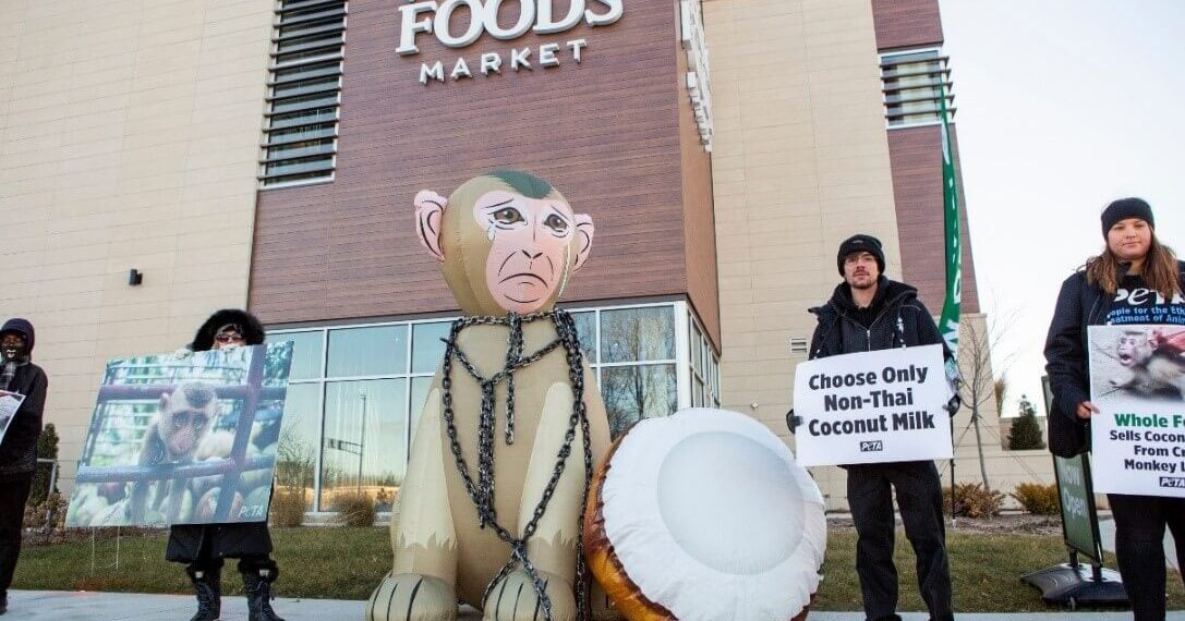 giant inflatable monkey chained to a equally giant inflatable coconut at a whole foods store protest