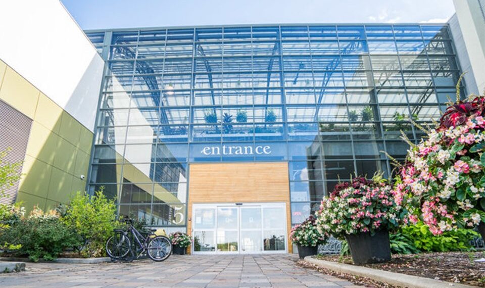 Amaranth Whole Foods Market: A Local and Family-First Approach to Growth