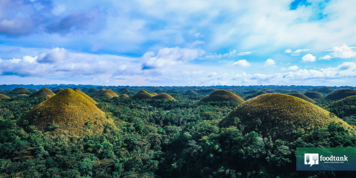 Watershed Project Bolsters Food Security in the Philippines – Food Tank