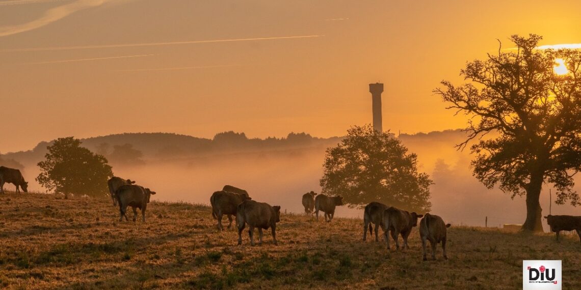 A noticeable divide exists between agricultural and non-agricultural households.