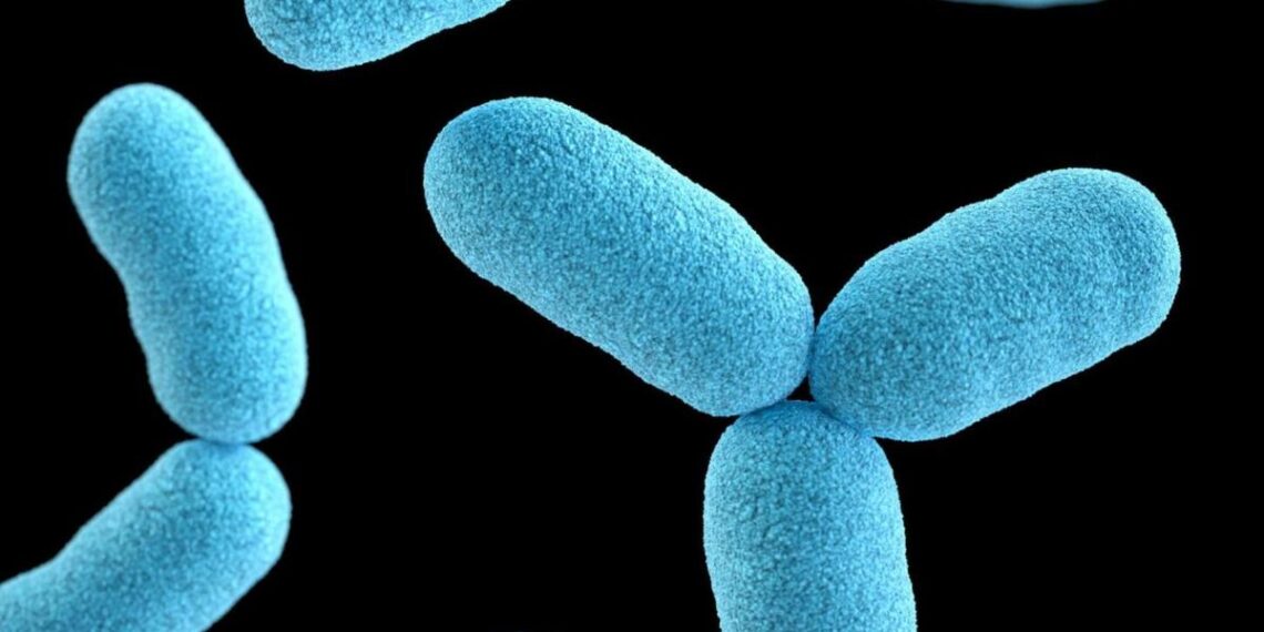 Listeria outbreak impacts products sold at Whole Foods | Trending News